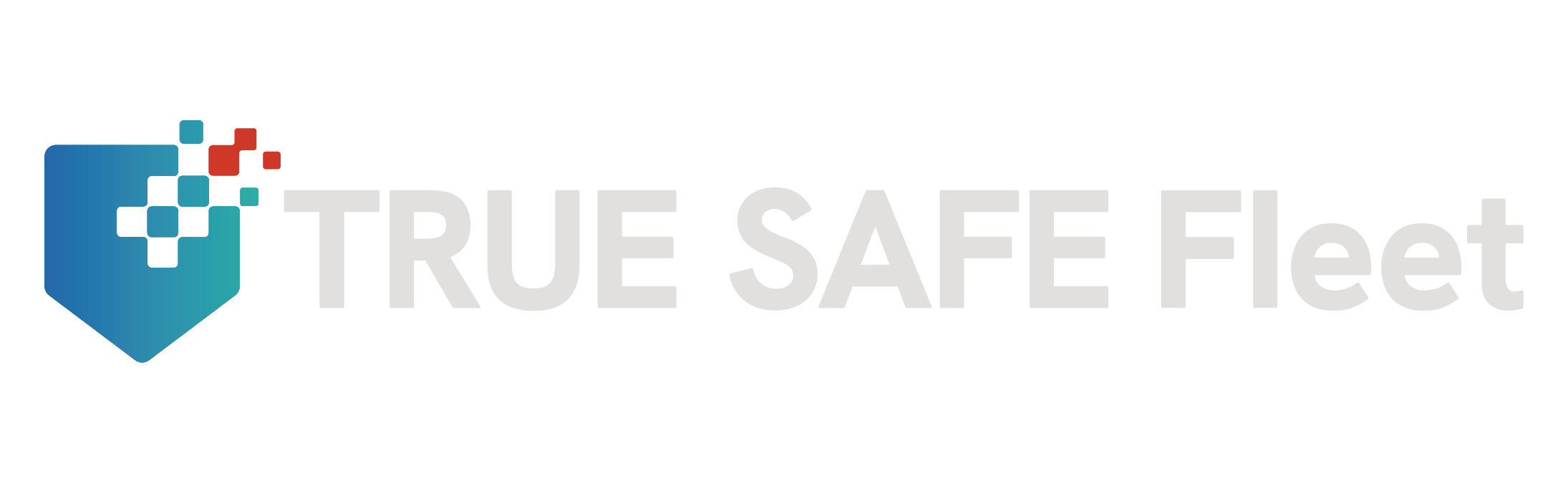 TRUE SAFE Fleet