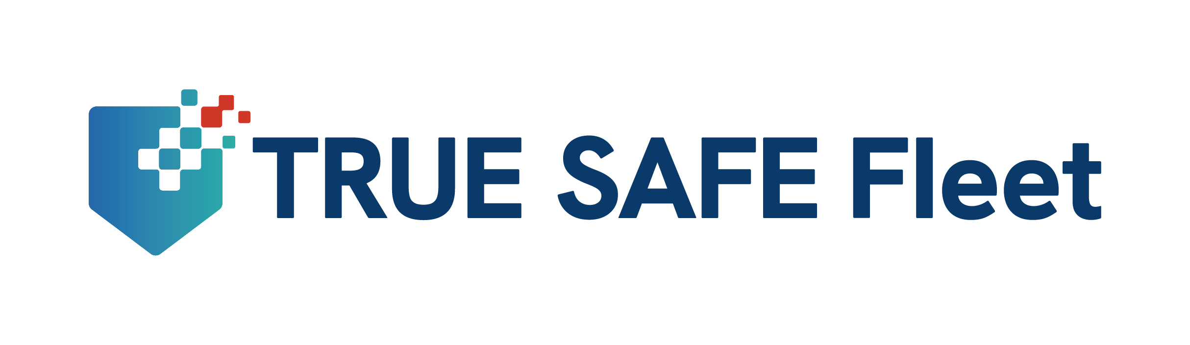 TRUE SAFE Fleet